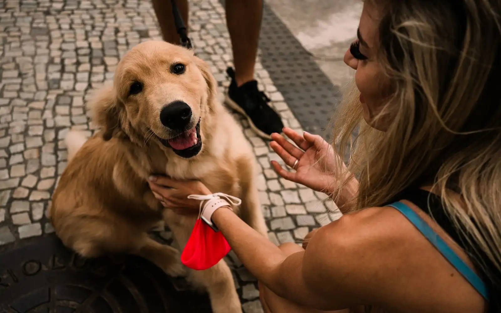 Caminhada longa demais com filhote grande cobra caro das articulações