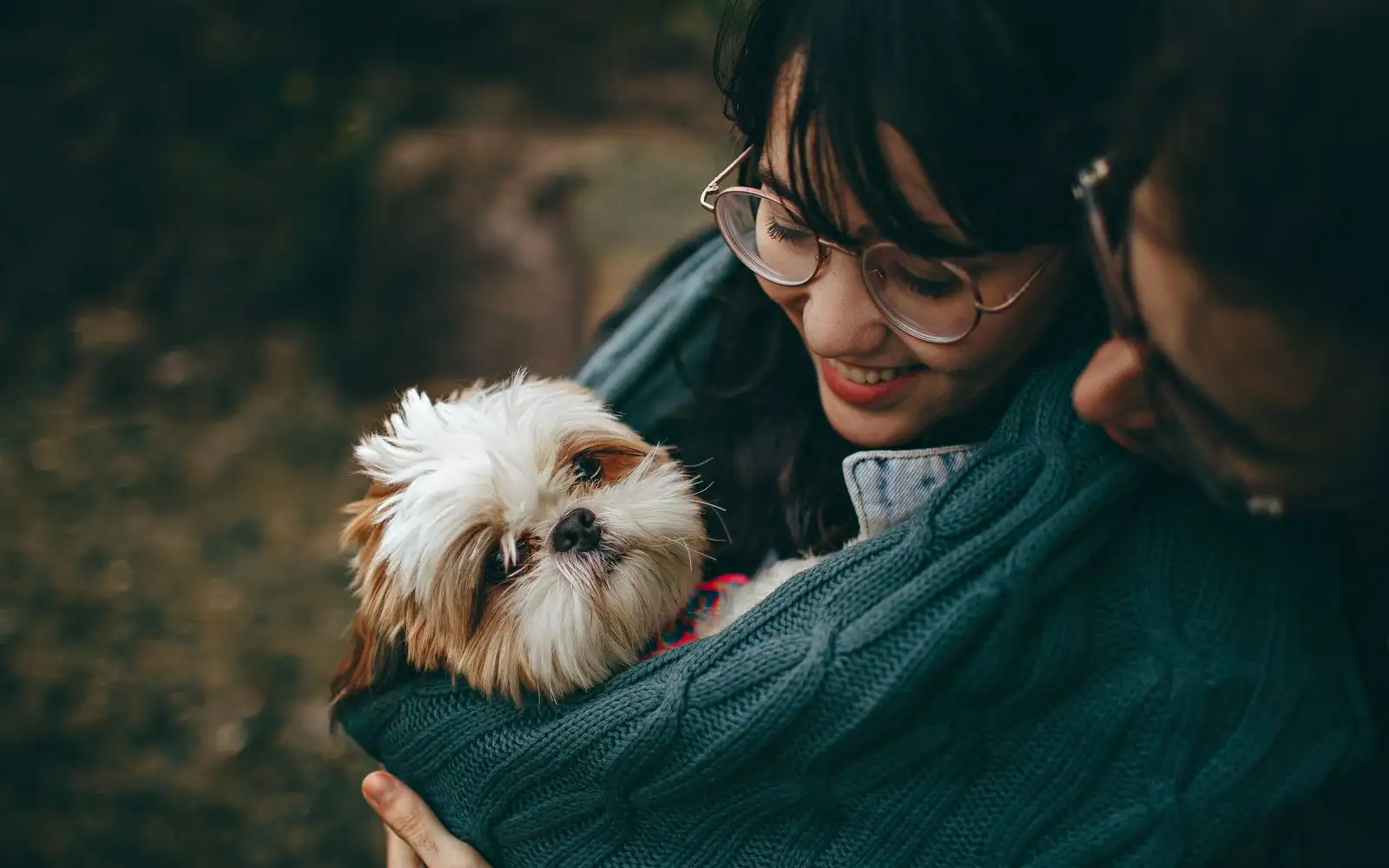Você não precisa de um filhote para ter um cão que combine com sua idade
